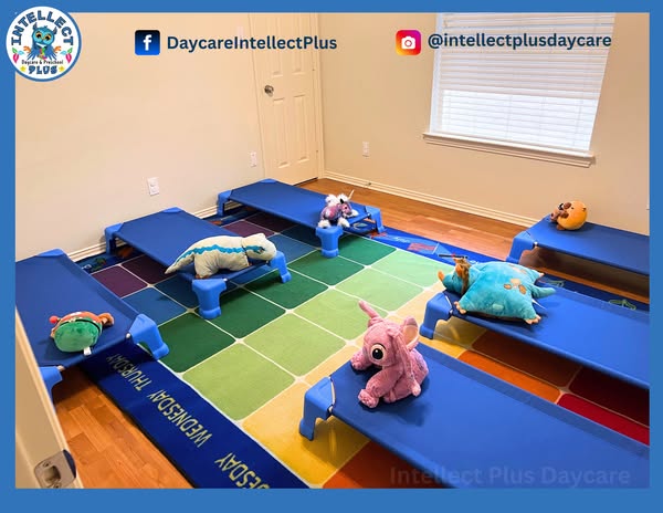 Intellect Plus Daycare & Preschool